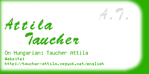 attila taucher business card